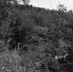 Shepard Property on Route 4 in Castleton