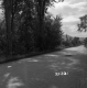 Shepard Property in Castleton