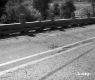 Bridge Maintenance in Wallingford