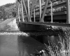 Stream in Warren