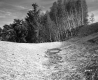 Ditch in Derby
