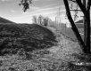 Wire Fence in Derby
