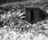 Castleton Well Pump