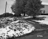 Driveway in Castleton
