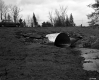 Culvert and Stream