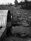 Culvert and Stream