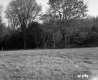 Field in Castleton