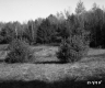 Field in Castleton