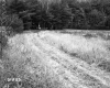 Field near I-91