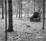 Fire Pit Oven