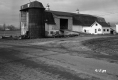 Barn in Berlin