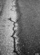 Cracked Pavement