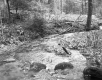 Stream