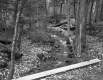 Stream