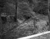 Stream