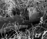 Culvert