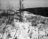 Slope near VT 100B