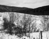 Slope near VT 100B