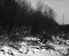Slope near VT 100B