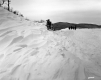 Winter Road