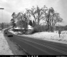 Ice storm Tree Damage