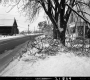 Tree Damage