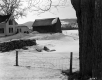Woodpile