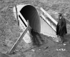 Westover Property Culvert