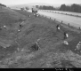 Green Up Day Volunteers Alongside I-89 in Middlesex