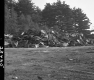 Colchester Junkyard