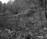 View toward Forest