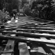 Covered Bridge Construction in Woodstock