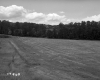 Hanson Property Between Barton and Irasburg