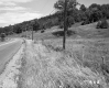 Simons Property, Fenced Field