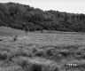 Simons Property, Field and Forested Hills