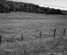 Simons Property, Field and Forested Hills
