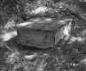 Simons Property, Spring Box