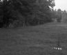 Simons Property, Field and Forest
