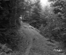 Simons Property, Forest View