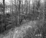 Ferno Property Between Brookfield and Berlin