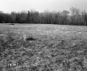 Ferno Property Between Brookfield and Berlin