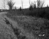 Ferno and Kreis Property Between Brookfield and Berlin