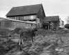 Hoare Property Barn