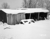 Brown Property Shed