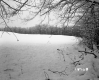 Brown Property Between Brookfield and Berlin