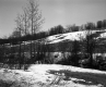 Carmichael Property in Barre