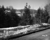 Carmichael Property in Barre