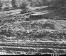 Slope Erosion on I-89 Between Berlin and Montpelier