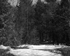 City of Barre Property Near Future Site of I-89