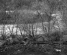 City of Barre Property Near Future Site of I-89